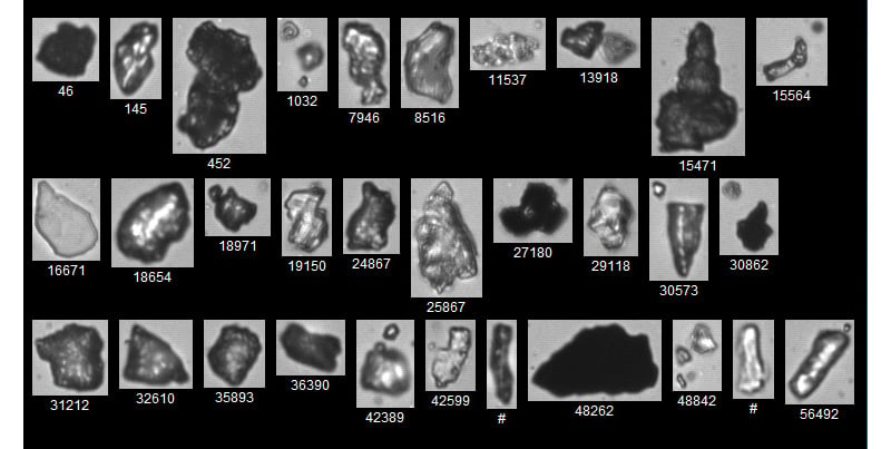 Particle Imaging Analysis - FlowCAM - Merkel Technologies Ltd