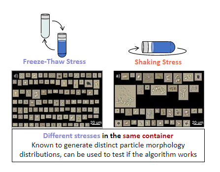 A.Daniels particle stresses FlowCam images