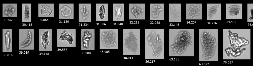 Biopharma FlowCam sample with glass lamination flakes-1