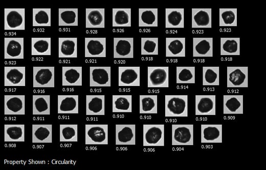 Diamond Powder High Circularity