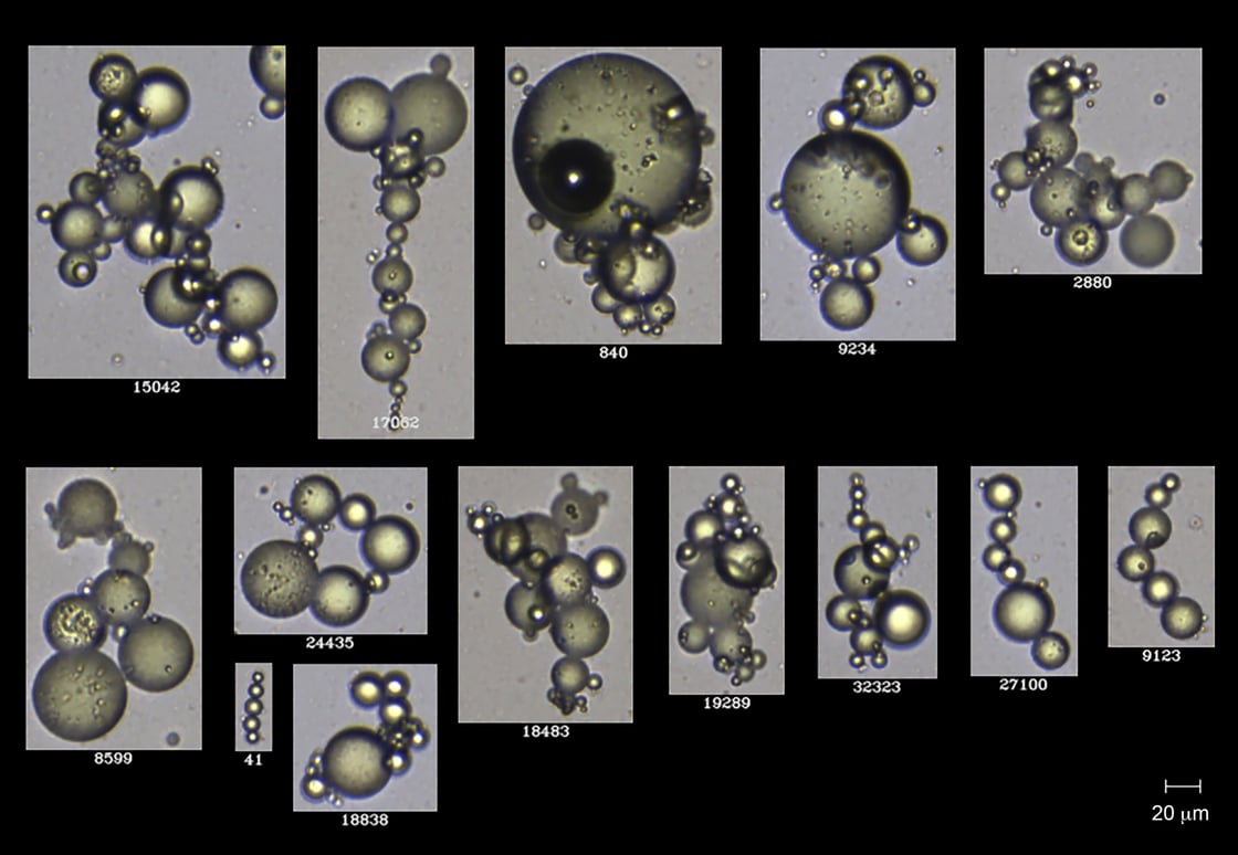 Figure 5 Physiology Paper