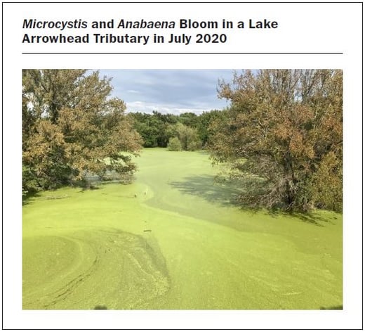 Anabaena bloom Wichita Falls Journal AWWA