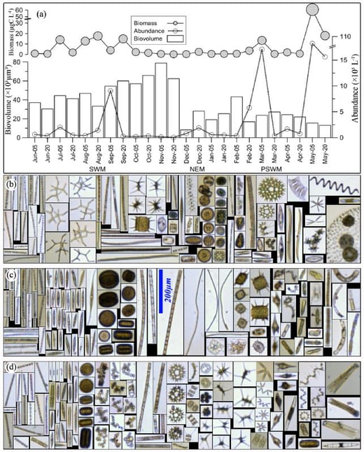 Karnan Figure 3 - FlowCam images