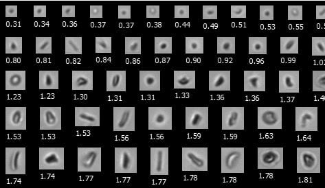 Purdue FlowCam Nano Particles 2