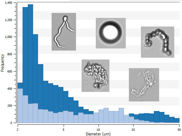 FlowCam LO data histogram with particle images