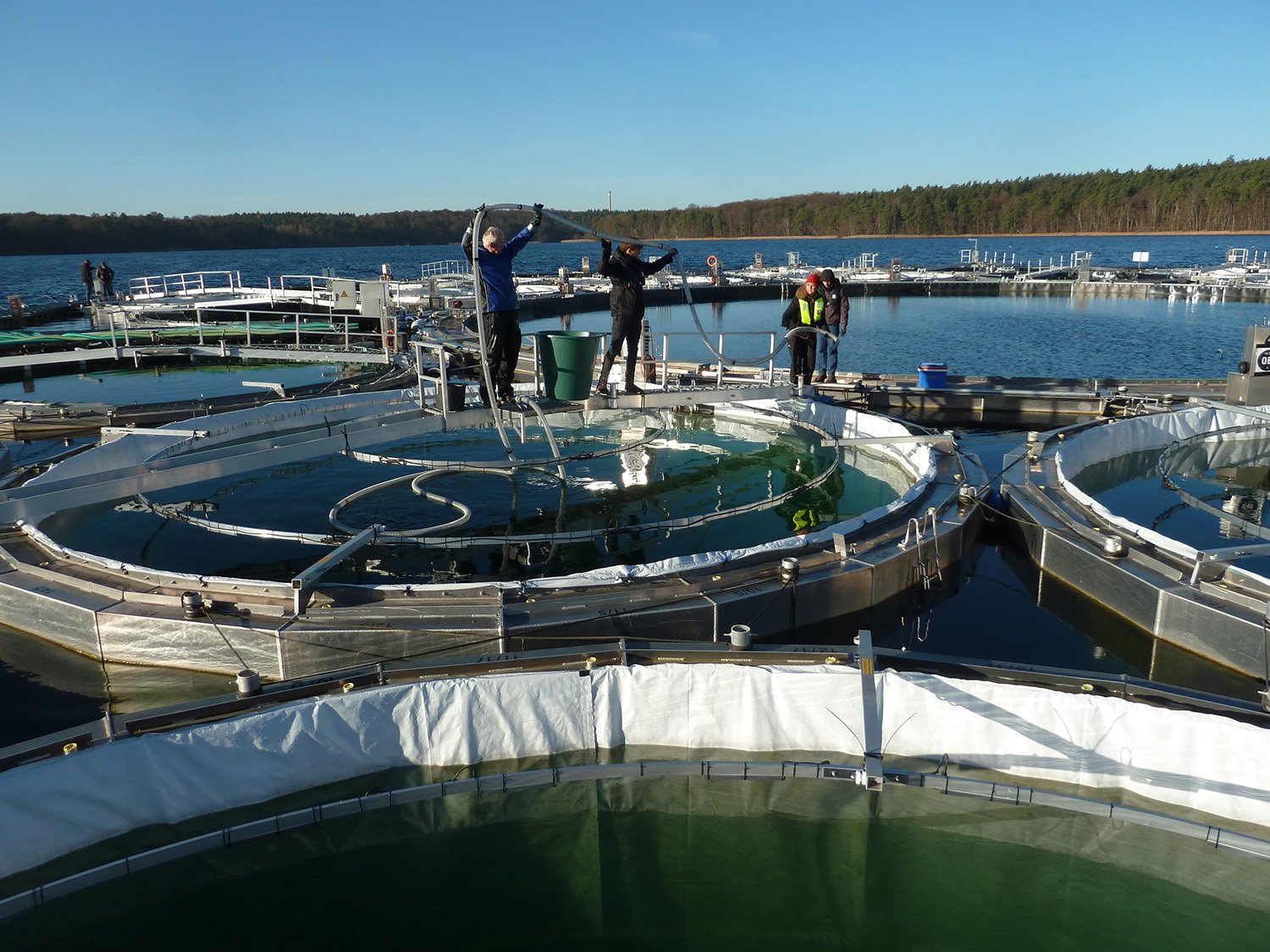 igb-mesocosms