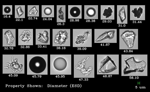 FlowCam particle collage showing images from biopharmaceutical sample