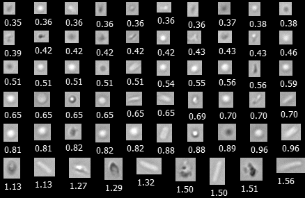 FlowCam Nano collage of particles from protein therapeutic sample