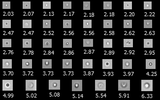 polysorbate image