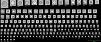 FlowCam Nano images of silicone oil droplets
