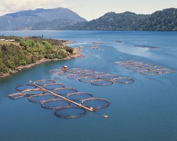 Salmon farm