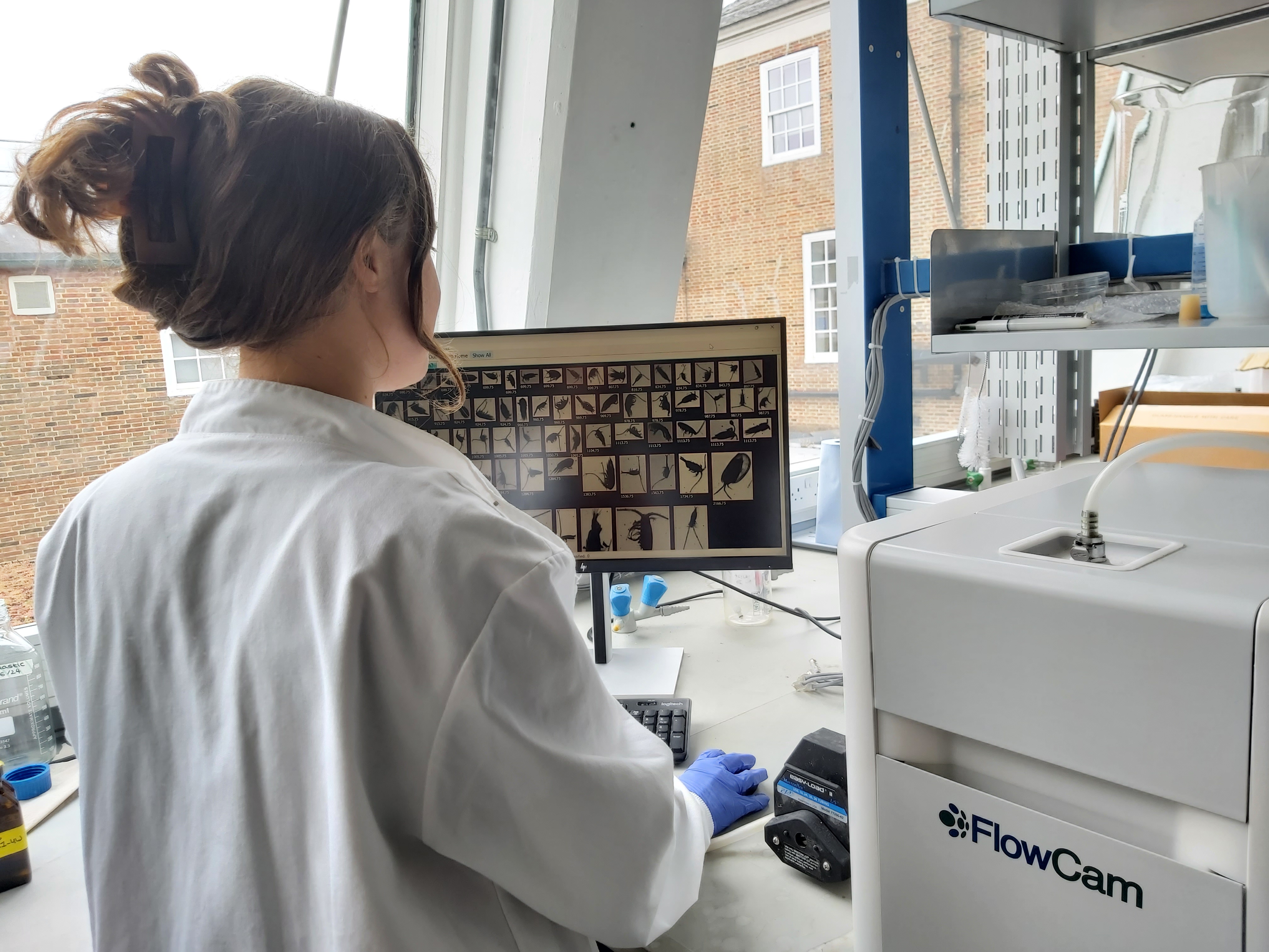 Woman using a FlowCam in a lab with zooplankton on a monitor