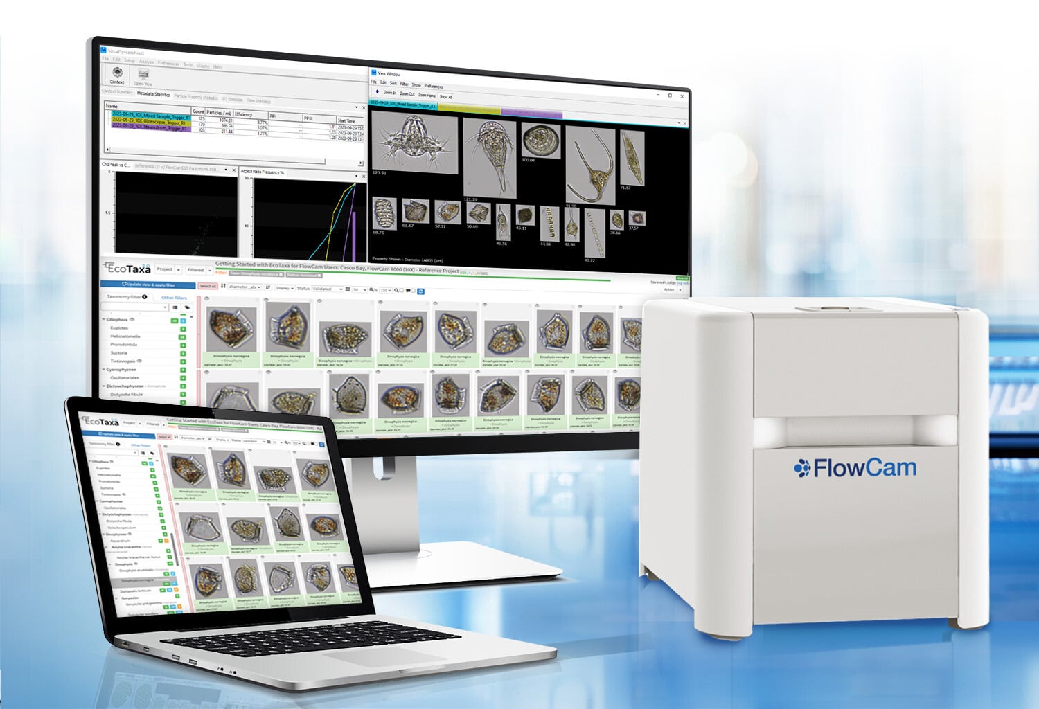 FlowCam with monitor and laptop showing EcoTaxa plankton analysis