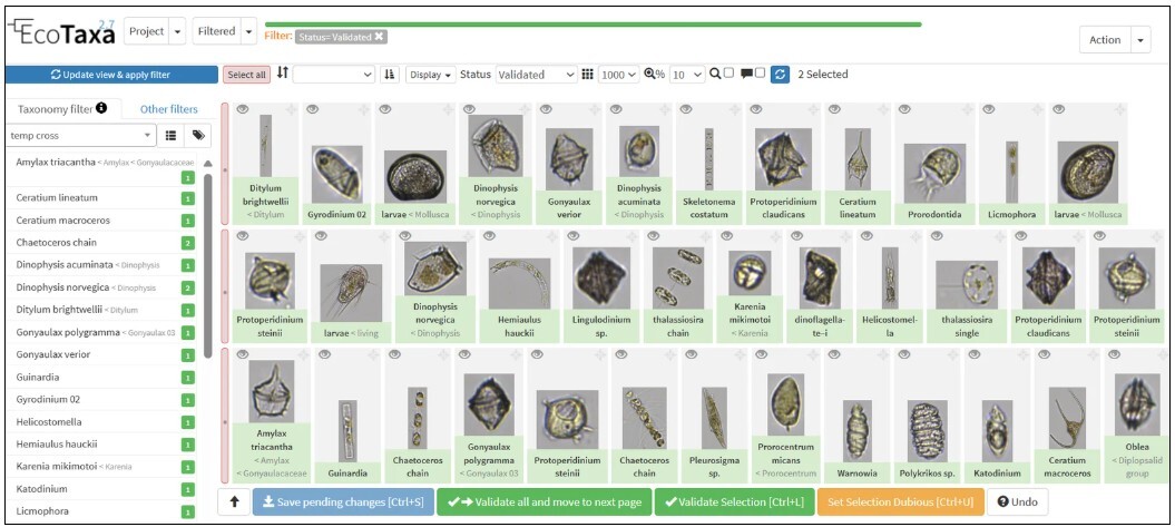 EcoTaxa project with FlowCam images