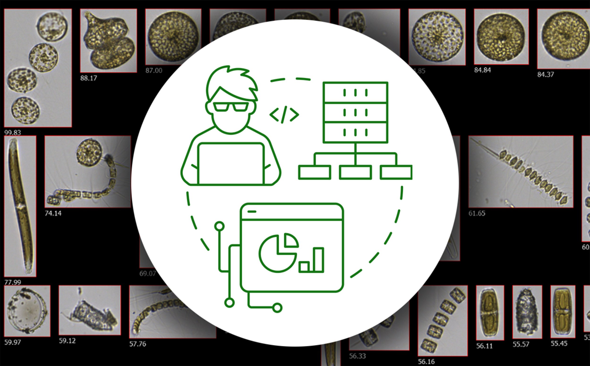 Plankton collage with data symbols