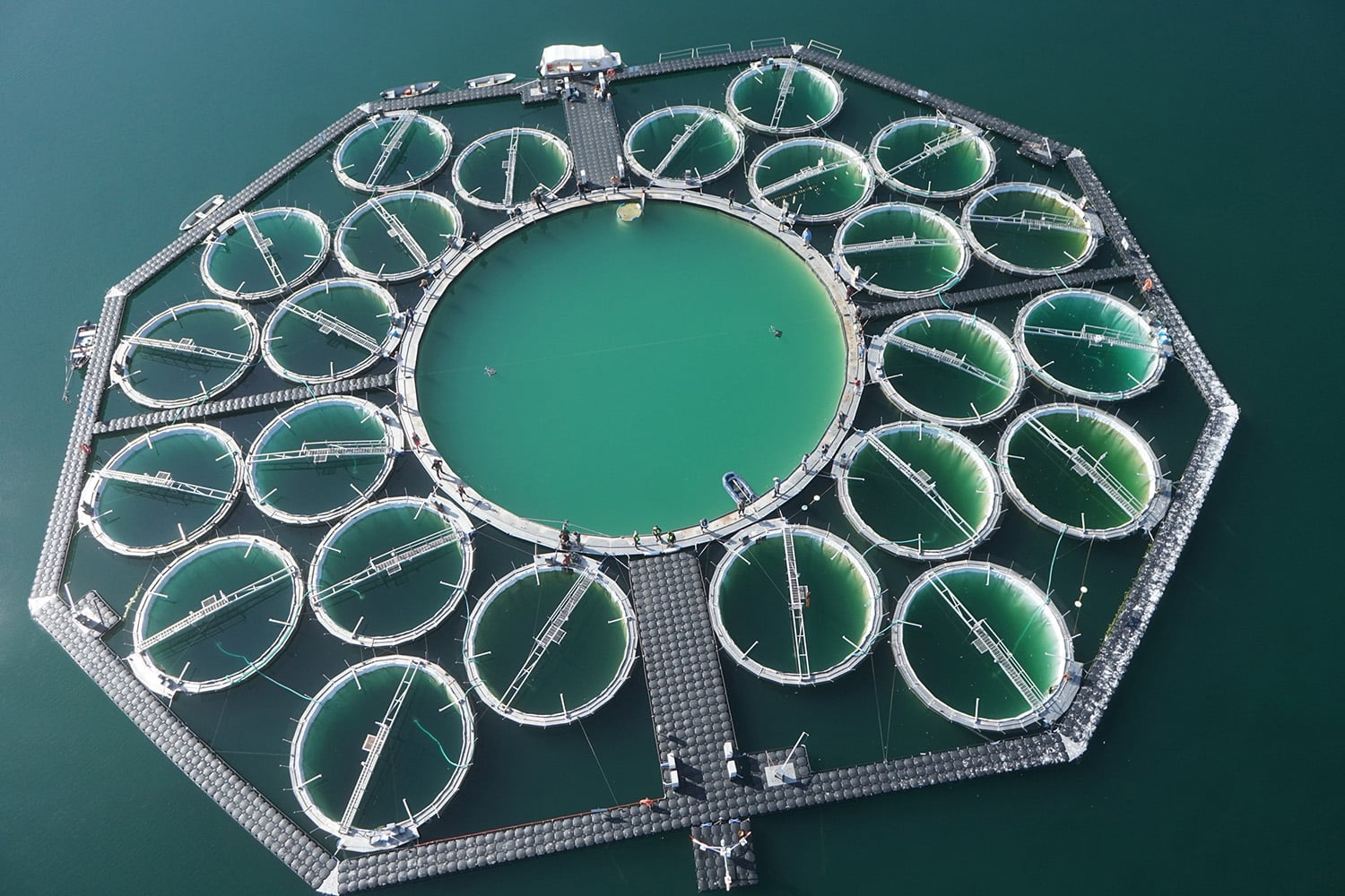 Lakelab mesocosm pools